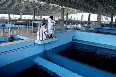 生物活性炭被用于水净化